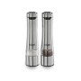 Spice Grinder Russell Hobbs 23460-56 Silver (2 Units)