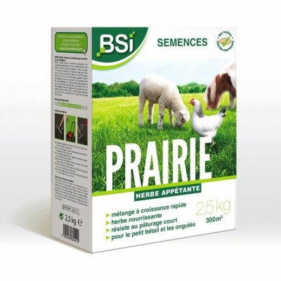 Seeds BSI