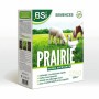 Seeds BSI