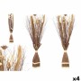 Decorative Flower Gift Decor Brown 14 x 100 x 10 cm 8 x 100 x 18 cm (4 Units)
