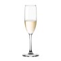 Champagne glass Alfares Flavia 200 ml (24 Units)