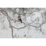 Miroir mural Home ESPRIT Noir Doré Oriental 60 x 4 x 120 cm 60 x 3,5 x 120 cm