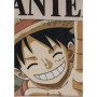 Cushion One Piece