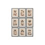 Painting Home ESPRIT Brown Black Urban Botanical plants 30 x 2 x 40 cm (9Units)