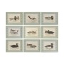 Painting Home ESPRIT Green Cottage (9Units)