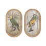 Painting Home ESPRIT Green Natural Parrot Tropical 35 X 2,5 X 60 CM (2 Units)