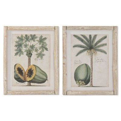 Painting Home ESPRIT Green Beige Tropical 40 x 3,5 x 50 cm (2 Units)