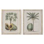 Painting Home ESPRIT Green Beige Tropical 40 x 3,5 x 50 cm (2 Units)