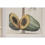 Painting Home ESPRIT Green Beige Tropical 40 x 3,5 x 50 cm (2 Units)