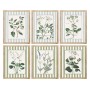 Painting Home ESPRIT White Green Shabby Chic Botanical plants 30 x 2,5 x 40 cm (6 Units)