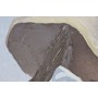 Painting Home ESPRIT Blue White Mediterranean (2 Units)