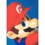Couverture Mario Bros 25 x 14 x 26 cm Noir animaux