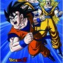 Blanket Dragon Ball Multicolour animals
