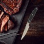 Knife Set Nirosta Stainless steel 4 Pieces