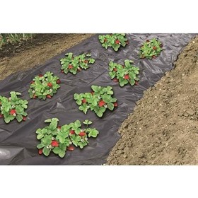 Filet contre les mauvaises herbes Nature Filet contre les mauvaises herbes Nature