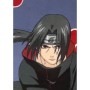 Blanket Naruto Black animals