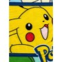 Blanket Pokémon 12 x 10 x 24 cm Multicolour animals