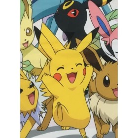 Blanket Pokémon 26 x 14 x 26 cm Multicolour animals Blanket Pokémon 26 x 14 x 26 cm Multicolour animals