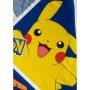 Blanket Pokémon Multicolour animals