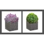 Pot Strata Ardoise 39 x 38 x 40 cm Gris Plastique Carré