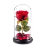 Figurine Décorative Caison Rosa roja eterna leds cupula cristal 20 cm