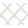 Garden Fence Nortene 0,5 x 1,5 m