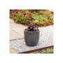 Pot Strata Gris Plastique 43 x 41 x 43 cm