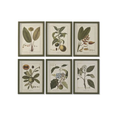 Painting Home ESPRIT Green Cottage Botanical plants 30 x 2,5 x 40 cm (6 Units)