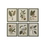 Painting Home ESPRIT Green Cottage Botanical plants 30 x 2,5 x 40 cm (6 Units)