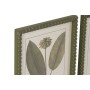 Painting Home ESPRIT Green Cottage Botanical plants 30 x 2,5 x 40 cm (6 Units)