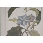 Painting Home ESPRIT Green Cottage Botanical plants 30 x 2,5 x 40 cm (6 Units)