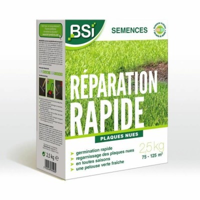 Graines BSI Reparación Rápida 2 Kg