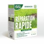 Seeds BSI Reparación Rápida 2 Kg