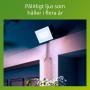 Projecteur Philips Noir 30 W F (5000 K)
