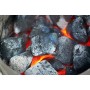 Charcoal (1 Unit)