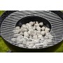 Charcoal (1 Unit)