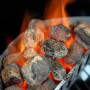 Charcoal (1 Unit)