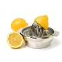 Exprimidor Quttin Silver Steel 16,7 x 10,5 x 12 cm (12 Units)
