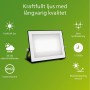 Floodlight/Projector Light Philips Black 50 W F