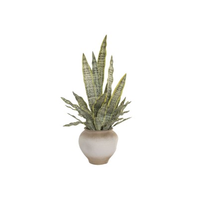 Decorative Plant Home ESPRIT Polyethylene