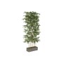 Decorative Plant Home ESPRIT Wood Bamboo Polyethylene Oriental