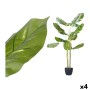 Decorative Plant Ibergarden Plastic 60 x 100 x 60 cm (4 Units)