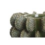 Vase Home ESPRIT Green Ceramic Tropical