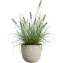 Plant pot Elho Beige 30 x 29,5 x 25 cm