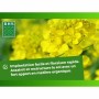 Engrais pour les plantes BHS 500 g