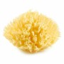 Body Sponge ThermoBaby Yellow