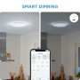 Ceiling Light Wiz White
