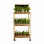 Shelves Ibergarden 3 Shelves 41 x 159 x 69 cm