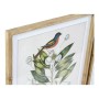 Cadre DKD Home Decor Bird Verre Sapin 55 x 2,5 x 70 cm (4 Pièces)
