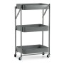 Vegetable trolley Kinvara Grey Steel Plastic 29,5 x 78,5 x 45,5 cm